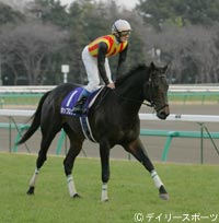 有馬記念2着はペリエ＆ポップロック