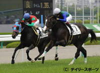 土曜・阪神5R・2歳新馬(芝1600m) | 競馬ニュース - netkeiba