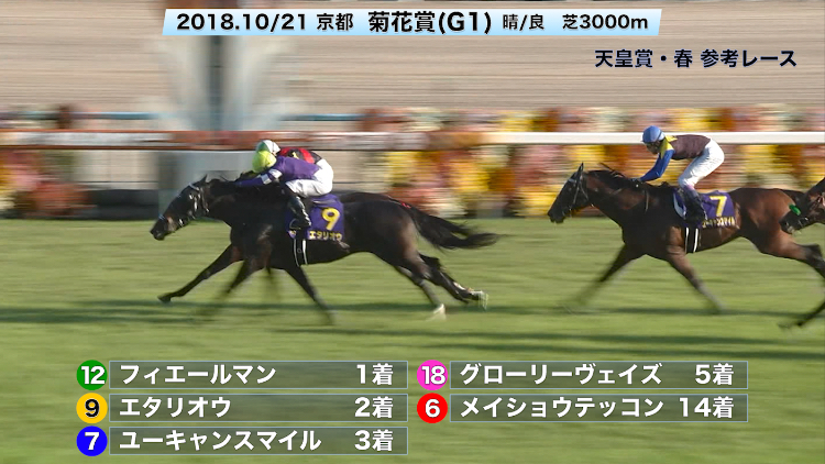 天皇賞 春 G1 出馬表 2019年4月28日 京都11r レース情報 Jra