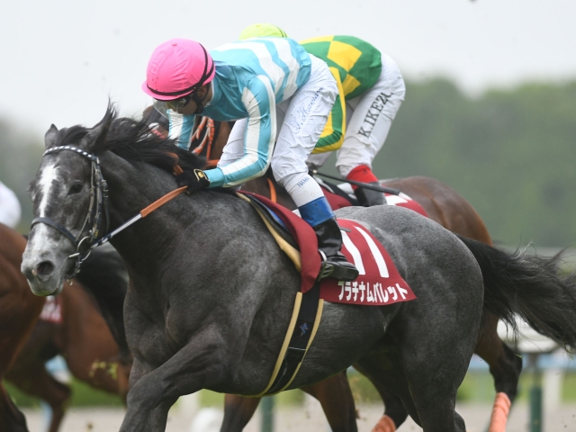 七夕賞＆プロキオンS、良血馬激突の新馬戦など/本日の注目ポイント