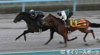 京成杯追い切り(2)ピサノデイラニなど