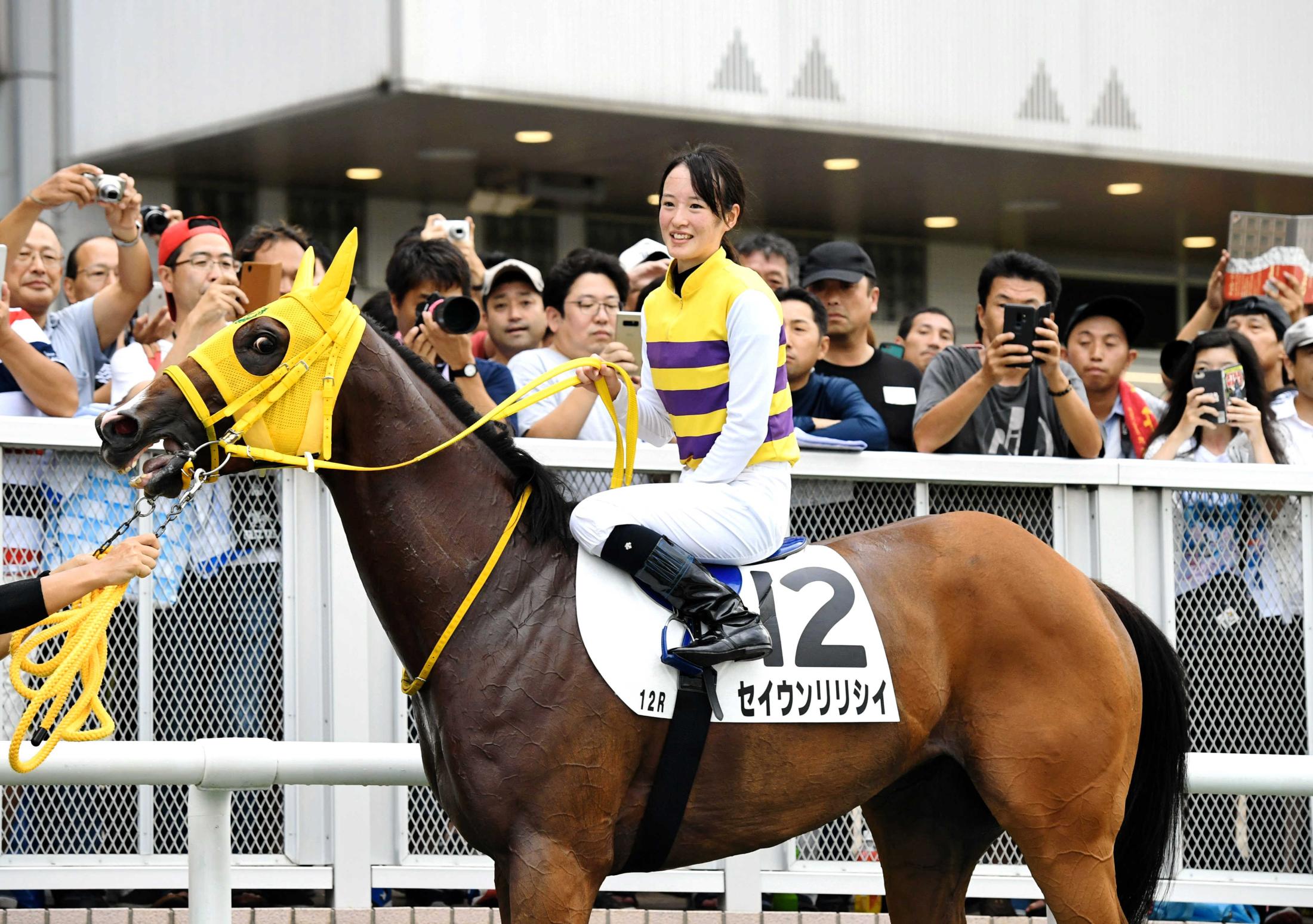 藤田菜七子騎手 デビューからの軌跡 | 競馬まとめ - netkeiba.com