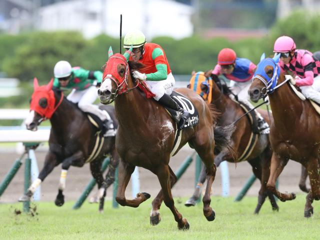 ブレントン アヴドゥラ アヴドゥラ B アヴドゥラ 競馬記事一覧 競馬まとめ Netkeiba Com