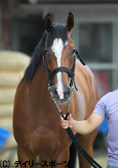 関屋記念・有力馬情報(1)ドナウブルー