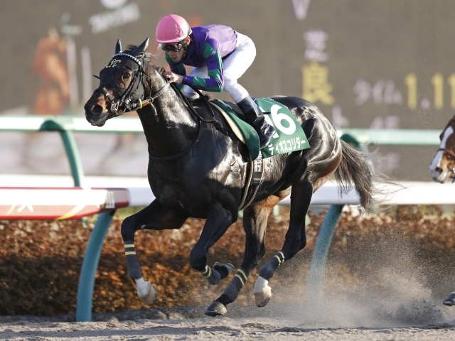 【JRA】ディオスコリダーが骨折、昨年のカペラS覇者