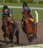 ダークシャドウうなる伸び脚、遠征明けの不安一掃/札幌記念