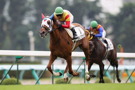 ゴールデンジャックの娘プリンセスジャックが初陣飾る 札幌新馬 競馬ニュース Netkeiba Com