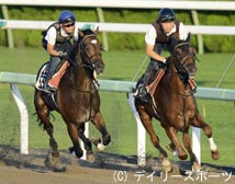 ローマンレジェンド、5連勝に向けて「ハンパない動き」/エルムS
