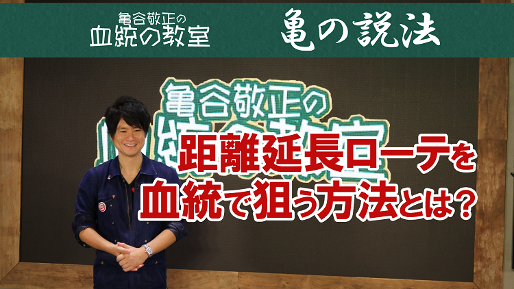 500m以上の距離延長ローテこそ血統が美味しい！/亀谷敬正