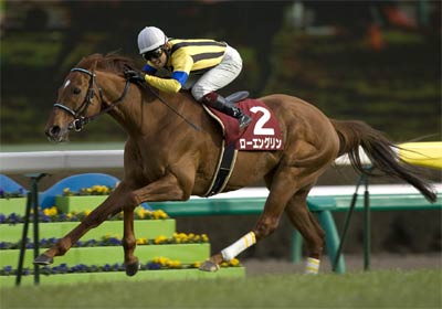 中山記念、8歳ローエングリンが復活V | 競馬ニュース - netkeiba