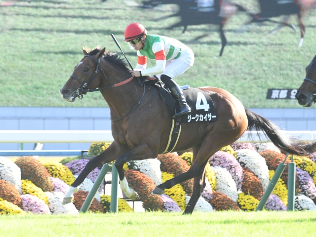 京都9Rは川田将雅騎手騎乗の3番人気ジークカイザーが勝利(c)netkeiba.com