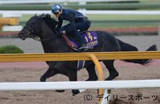 エイシンフラッシュ、坂路11秒6をマーク「余裕残し」/毎日王冠