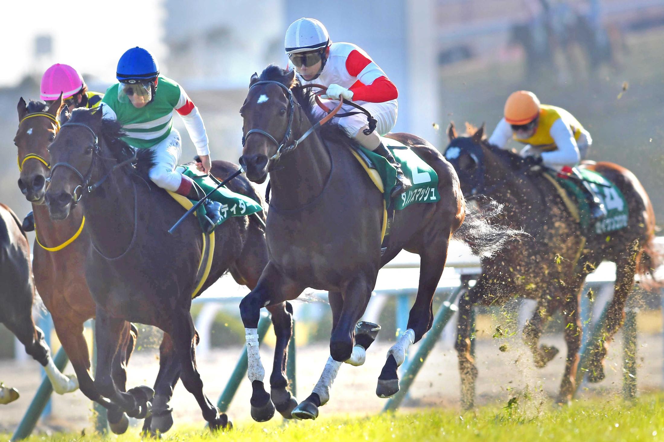 シルクロードｓ ダノンスマッシュ京阪杯に続く父子制覇 高松宮記念直行へ 競馬ニュース Netkeiba Com