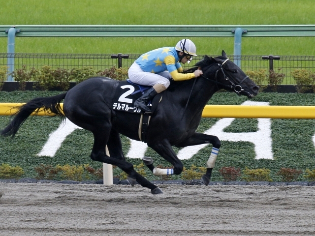 ヒヤシンスs想定 全日本2歳優駿2着デルマルーヴルなど3歳ダートの強豪が激突 競馬ニュース Netkeiba Com