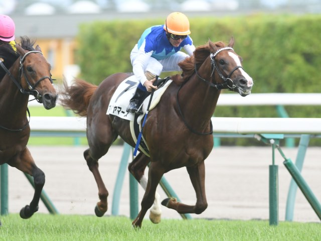 【共同通信杯予想】◎アドマイヤマーズ、初コース初距離も左回りで2戦2勝/JRAレース展望