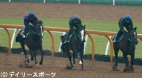天皇賞・春追い切り情報(3)デルタブルースなど