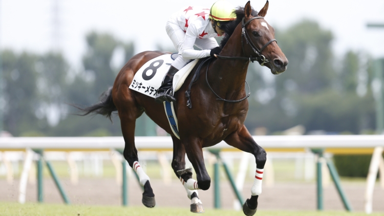 【8/31、9/1】ミッキーメテオ・ヴェルトライゼンデほか/新馬戦ダイジェスト