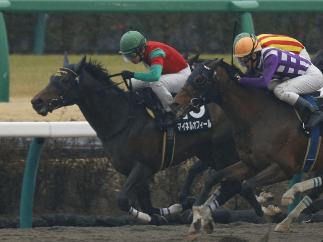 【jra】今週のwin5は4億6000万円のキャリーオーバー中！ ラスト2rはフルゲート 競馬ニュース Netkeiba