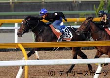 ローマンレジェンド「パワーありすぎ」岩田騎手/みやこS