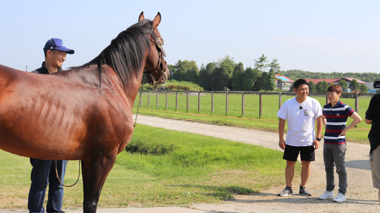 44】オルフェーヴルよりヤバい!? 兄ドリームジャーニーと再会