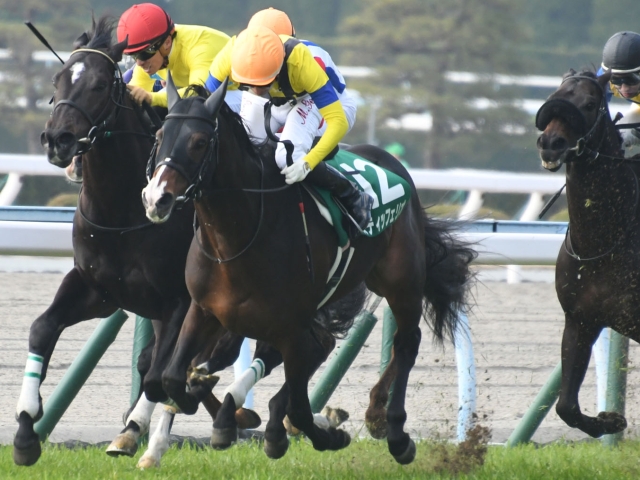 大阪杯全頭紹介 8枠13番スティッフェリオ 勢いに乗るステイゴールド産駒 競馬ニュース Netkeiba Com