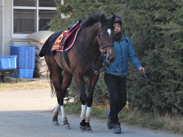 桜花賞 ダノンファンタジー陣営 テンションを上げ過ぎないように ねぇさんのトレセン密着 競馬ニュース Netkeiba Com