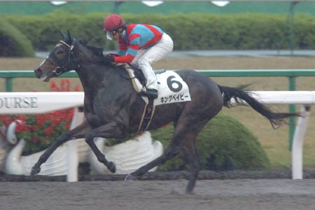 兄譲りの勝負根性、トランセンドの半妹キングベイビー差し切りV/京都新馬