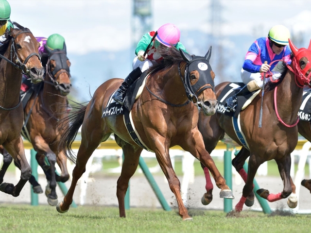 【湯沢特別】(新潟) ハートイズハートが追い比べを制す