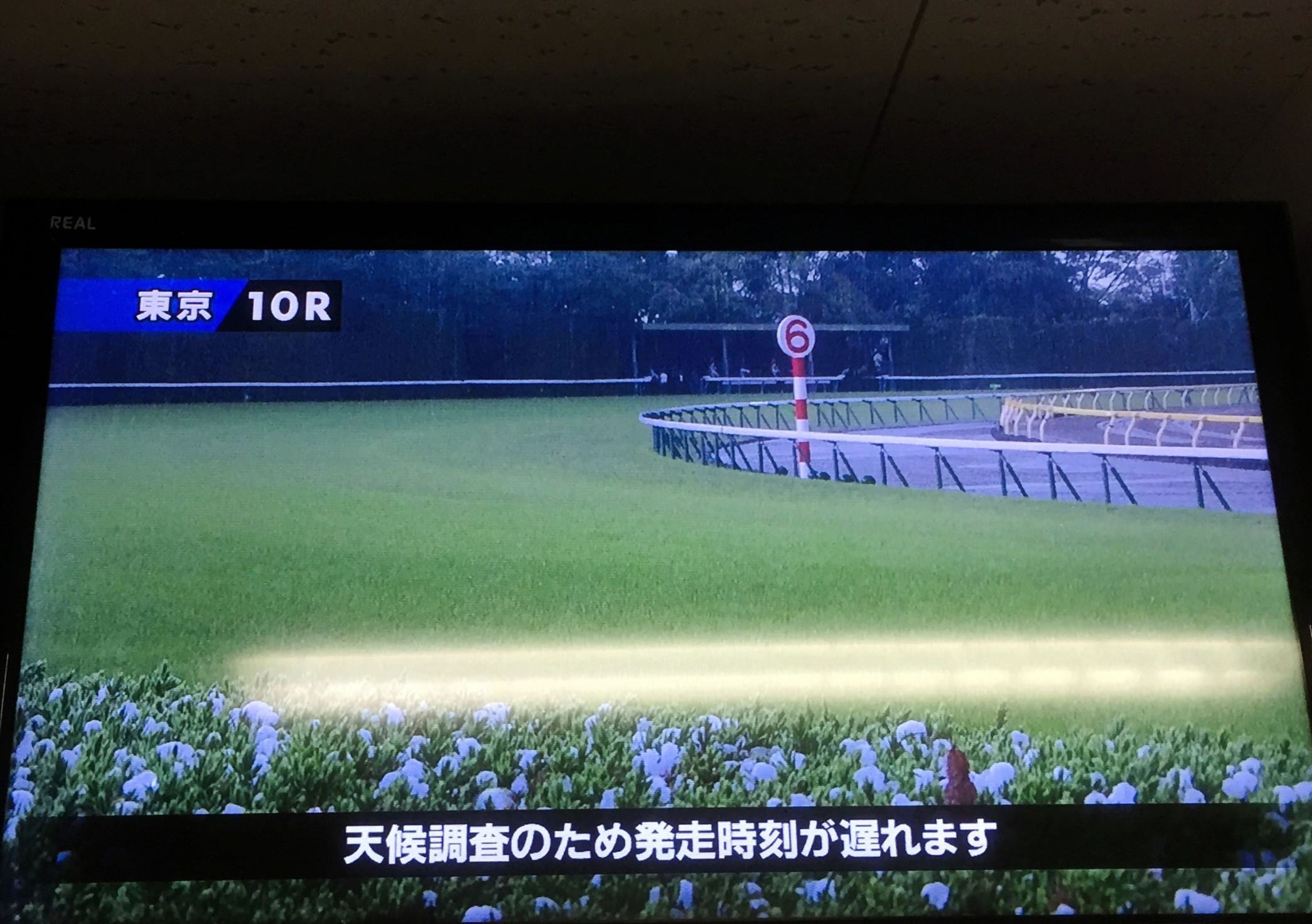 大粒のひょうで東京競馬が１０ｒ以降中止 プリンシパルｓは１２日 東京１０ｒに 競馬ニュース Netkeiba Com