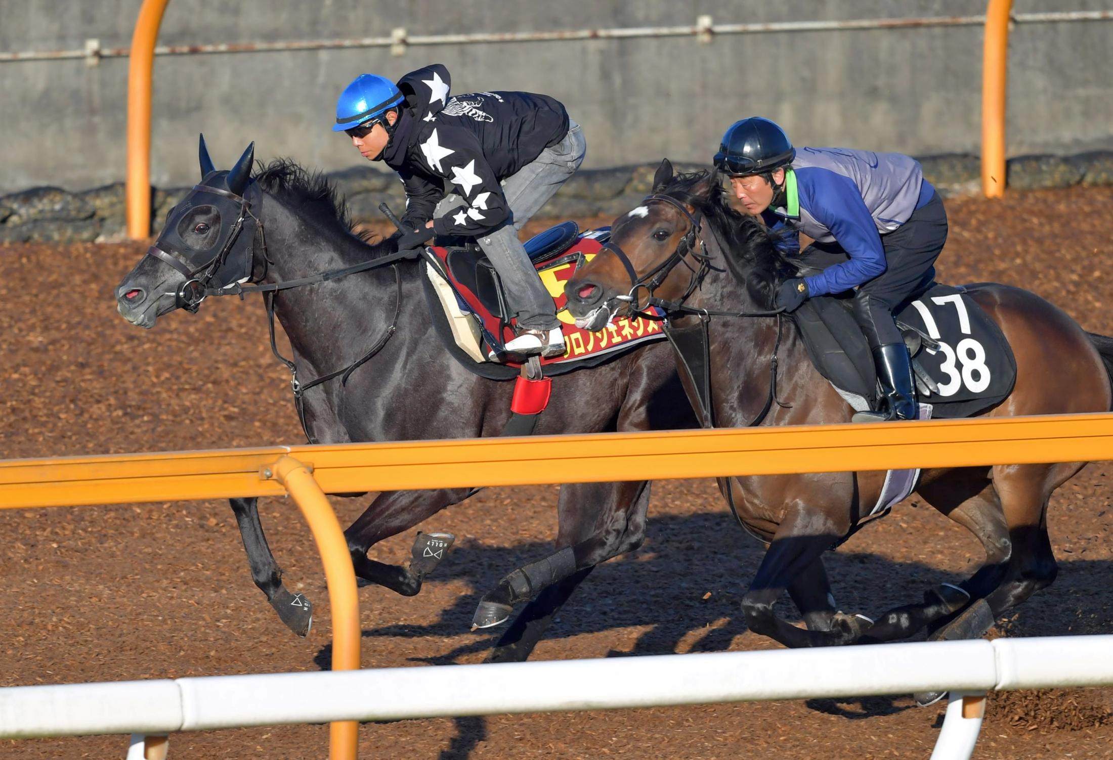 ✳️ 【非売品】超希少 モーリス 年度代表馬記念 ノーザンファームT