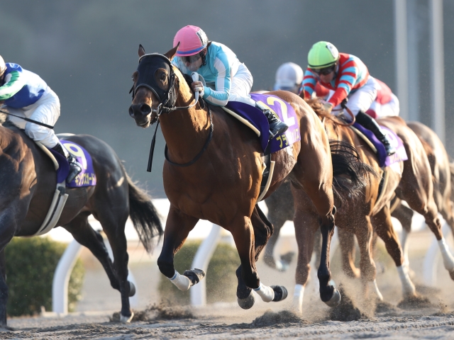 地方競馬 Nar 大井競馬場 川崎競馬場 船橋競馬場 浦和競馬場 帯広競馬場 門別競馬場 盛岡競馬場 水沢競馬場 金沢競馬場 笠松競馬場 名古屋競馬 場 園田競馬場 姫路競馬場 高知競馬場 佐賀競馬場 ばんえい競馬 高知けいば 競馬記事一覧 競馬まとめ Netkeiba Com