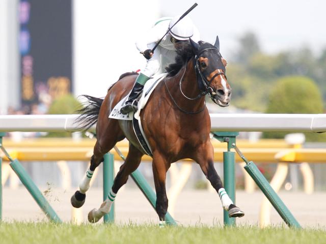 日本ダービー 令和最初のダービー馬はロジャーバローズ 12番人気の評価覆す Jraレース結果 競馬ニュース Netkeiba Com
