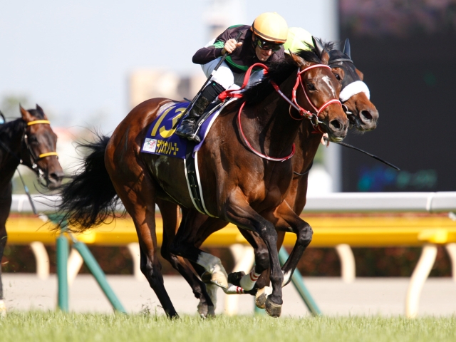 ◆　競馬　JRA　◆　ラヴズオンリーユー　◆　ゴルフマーカー　◆　オークス　◆ 2019年 オークス（GⅠ） | ラヴズオンリーユー | JRA公式 - YouTube