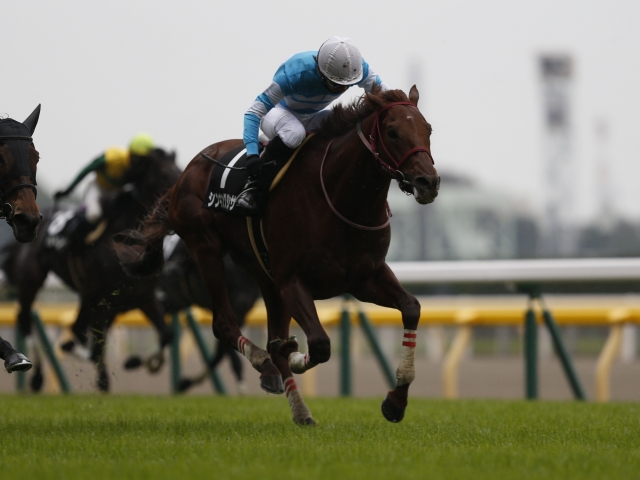 Jra 東京ジャンプsに中山gj上位馬が参戦 新馬戦では桜花賞馬全弟らがデビュー 本日の注目ポイント 競馬ニュース Netkeiba Com