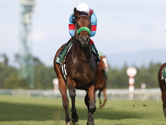 次走 ブラストワンピースは札幌記念へ 昨年の有馬記念覇者 競馬ニュース Netkeiba Com
