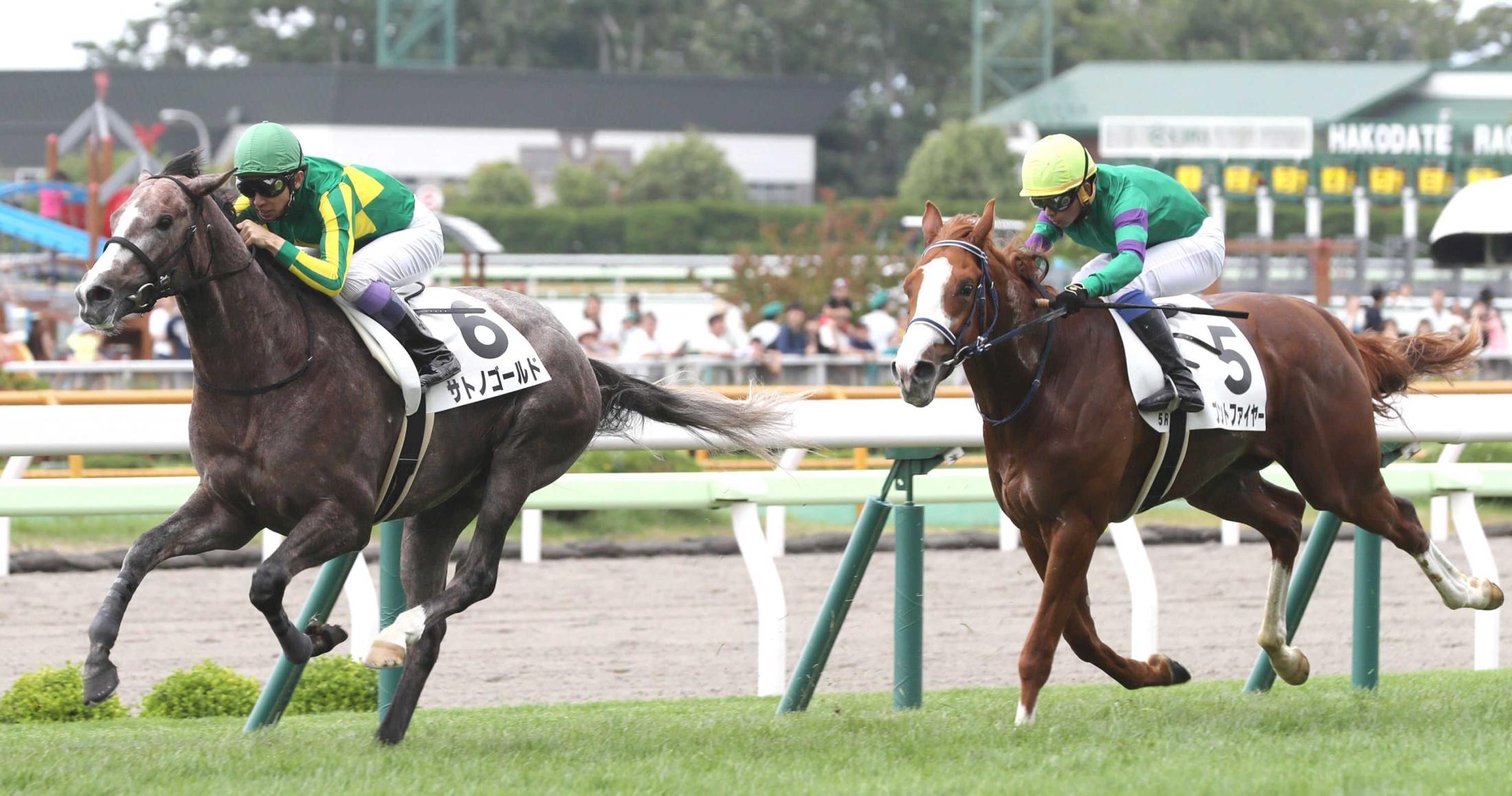 【ＰＯＧ】サトノゴールド ゴールドシップ産駒一番星　武豊「素質だけで勝った」