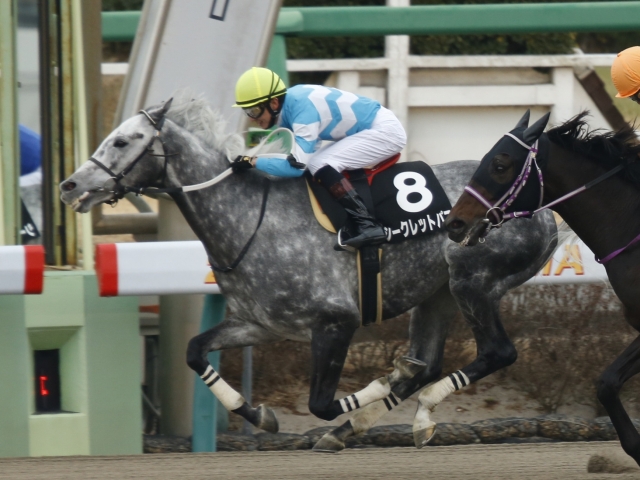 小倉サマージャンプ シークレットパスは石神深一騎手 メイショウダッサイは森一馬騎手 Jra重賞想定騎手 競馬ニュース Netkeiba Com