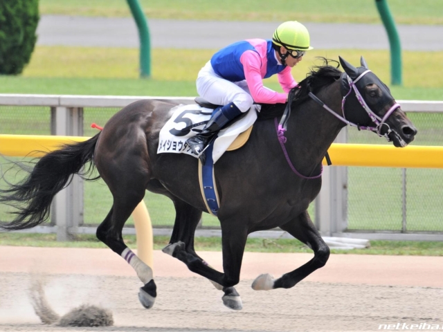 小倉サマージャンプ メイショウダッサイ 障害3連勝で重賞初制覇狙う 競馬ニュース Netkeiba Com