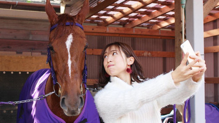 有馬記念的中！ノッてる万哲の◎は!? 東京大賞典(GI)を大予想！