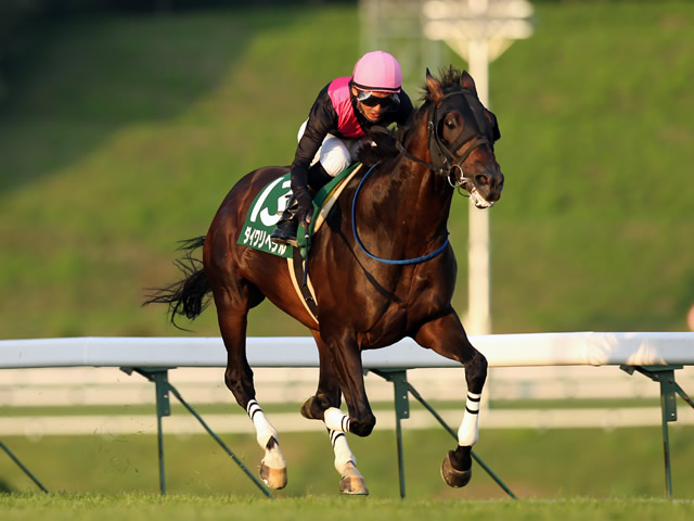 盛岡 せきれい賞 10番人気の伏兵ダイワリベラルが押し切りv 地方競馬レース結果 競馬ニュース Netkeiba Com