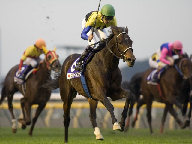 競馬ファンが選ぶ 歴代最強のジャパンカップ馬 は ランキング結果発表 競馬まとめ Netkeiba Com