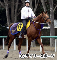 中山金杯・1週前追い切り情報ヤングアットハート