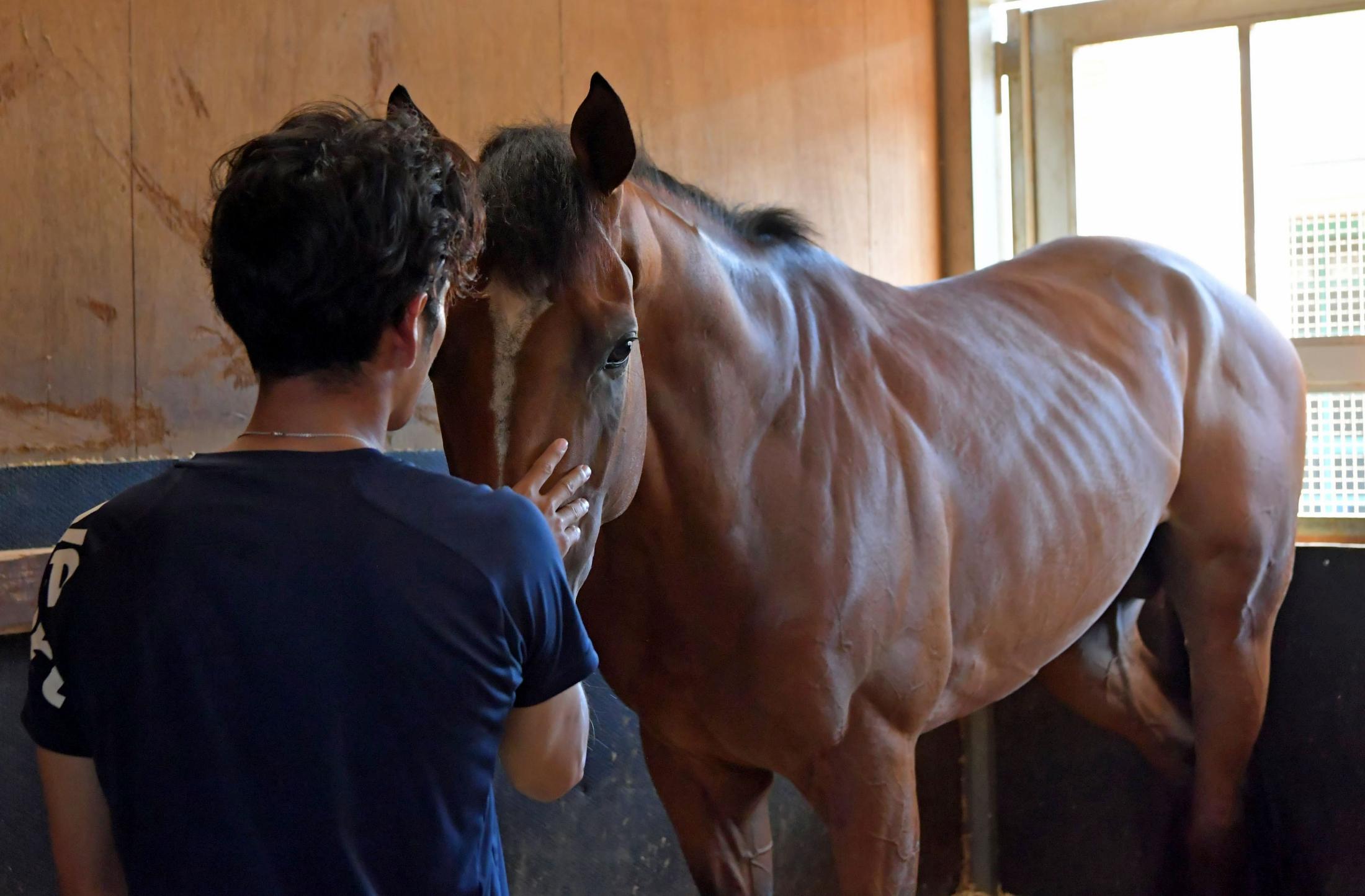 ȥΡߥɤǥӡϤȤʤä㡼Х