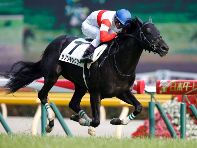 次走 ダノンキングリーは毎日王冠を秋初戦に 戸崎騎手とのコンビ継続 競馬ニュース Netkeiba Com