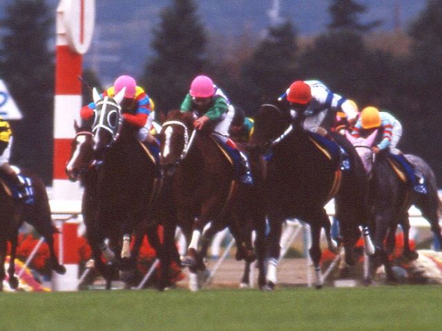 チョウカイキャロルが死亡、28歳　1994年のオークス馬