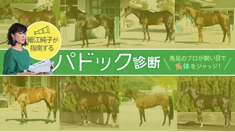 【天皇賞・春】細江純子さんが出走予定10頭を馬体診断