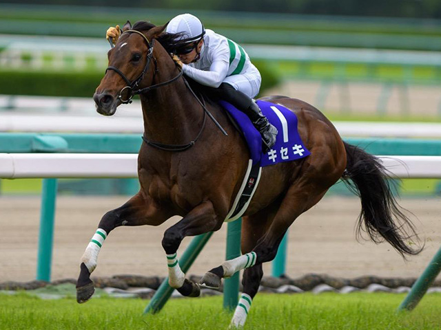 仏 フォワ賞 日本馬キセキは3番枠 凱旋門賞前哨戦は4頭立てに 競馬ニュース Netkeiba Com