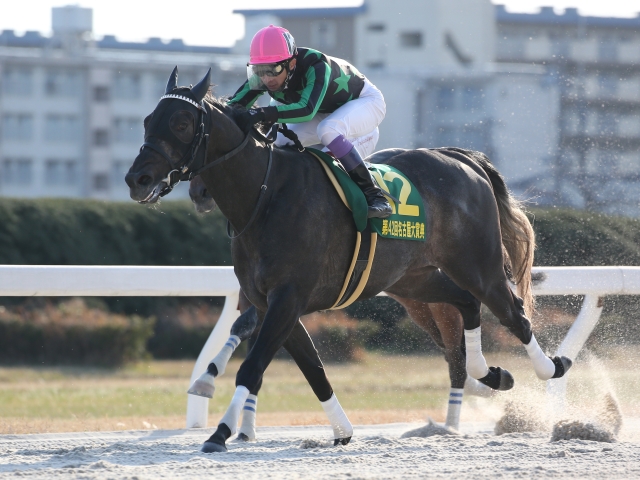 次走 グリムら3頭はシリウスsを回避 白山大賞典へ 競馬ニュース Netkeiba Com