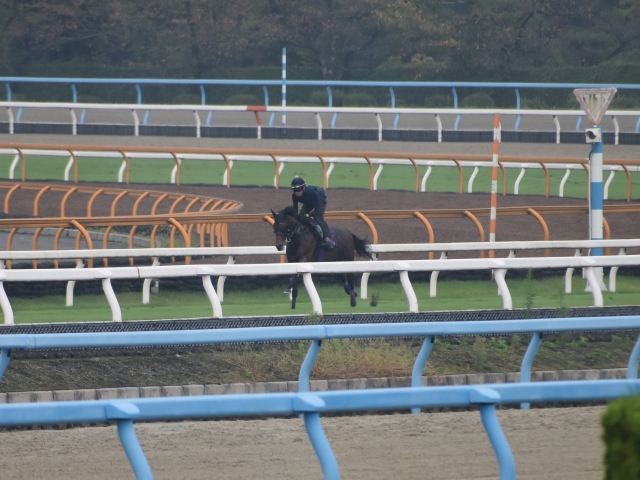 ワグネリアン、天皇賞・秋3週前追い切り速報/栗東トレセンニュース
