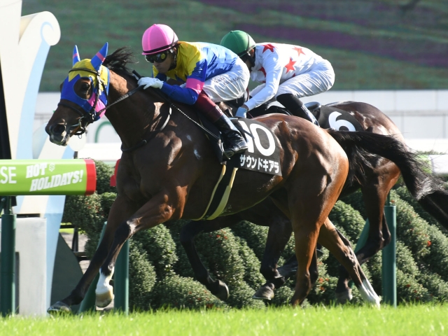 長岡京s 京都 サウンドキアラが人気に応えての勝利 競馬ニュース Netkeiba Com